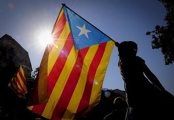 Guvernul catalan admite că operaţiunea poliţiei spaniole a "afectat" organizarea referendumului pentru independenţă