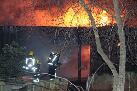 Incendiu la Grădina Zoologică din Londra: câteva persoane au fost rănite uşor, un porc furnicar a murit