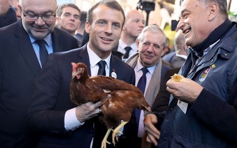 Macron adoptă o găină la Salonul Agricol de la Paris, care să-i facă ouă proaspete la Elysée