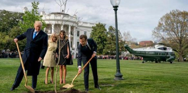 Stejarul plantat de Macron şi Trump la Casa Albă, în carantină