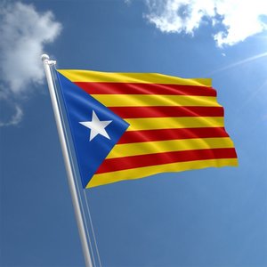 Cinci separatişti catalani aflaţi în închisoare, aleşi deputaţi în Spania