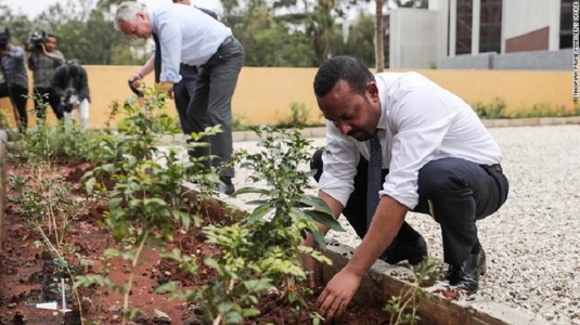 Etiopia a plantat peste 350 de milioane de copaci în 12 ore

