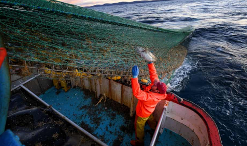 Reuters: Uniunea Europeană, pregătită să facă concesii Marii Britanii cu privire la pescuit