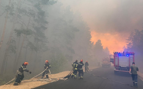 Cinci morţi şi nouă răniţi în incendii de pădure în estul Ucrainei