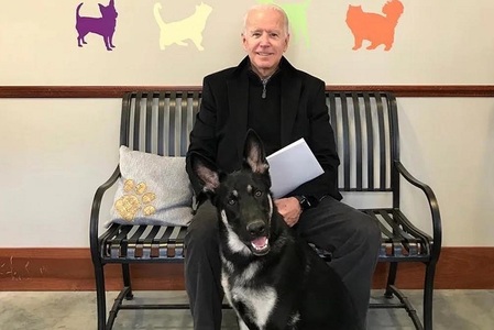 Medic: Biden va purta gheată ortopedică după ce a alunecat în timp ce se juca cu câinele său