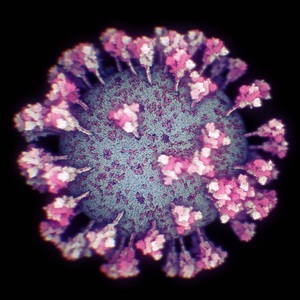 Cercetătorii au reuşit să facă prima fotografie 3D a coronavirusului - FOTO