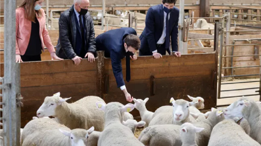 Macron vizitează o fermă în Côte d'Or, în lipsa Salonului Agriculturii, din cauza crizei covid-19
