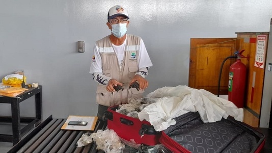 O valiză cu 185 de broaşte ţestoase a fost descoperită pe aeroportul din Galapagos