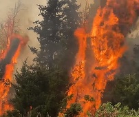 Incendiile continuă în Grecia. 1.500 de pompieri luptă cu cinci focare puternice în nordul Atenei. Premierul Kyriakos Mitsotakis a promis o reîmpădurire rapidă a zonelor afectate - VIDEO
