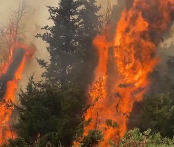 Incendiile continuă în Grecia. 1.500 de pompieri luptă cu cinci focare puternice în nordul Atenei. Premierul Kyriakos Mitsotakis a promis o reîmpădurire rapidă a zonelor afectate - VIDEO
