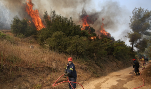 Incendii în Grecia - Insula Evia, în flăcări. 55 de focare active - VIDEO