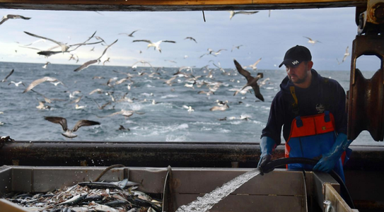 Pescari francezi anunţă blocharea vineri a trei porturi şi Eurotunelului, în conflictul licenţelor de pescuit post-Brexit, după ce Comisia dă Londrei termen până la 10 decembrie în vederea soluţionării contencioaselor