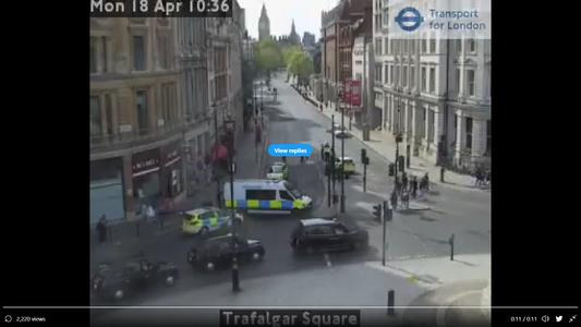 Marea Britanie: Poliţia a închis bulevardul Whitehall din apropiere de Downing Street şi a arestat un bărbat în vârstă de 29 de ani - VIDEO