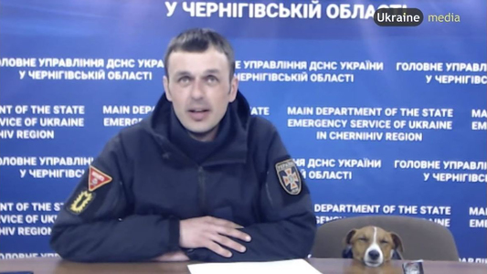 Patron, câinele care a ajutat la găsirea de mine lăsate de ruşi, decorat de preşedintele Ucrainei - VIDEO - 