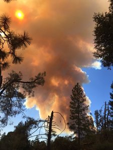 SUA: Căldură extremă în mai multe zone şi incendiu mare de vegetaţie în California