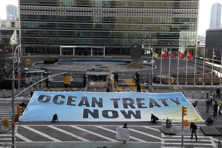 ONU - Statele membre au semnat primul tratat internaţional privind protejarea mării libere