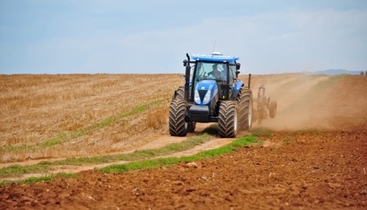 Organizaţia Naţiunilor Unite pentru Alimentaţie şi Agricultură (FAO) intenţionează să sprijine 4.600 de ferme ucrainene pe fondul însămânţărilor de primăvară