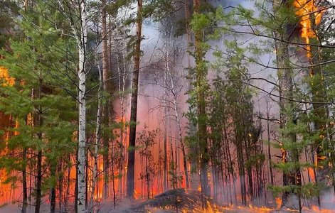 Rusia se confruntă cu incendii de pădure majore din cauza unui val de căldură. Într-o regiune din Siberia a fost decretată stare de urgenţă
