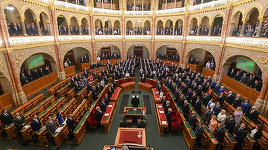 Ungaria - Doi parlamentari amendează legea privind pensiile şi propun ca persoanele care şi-au schimbat sexul să nu poată beneficia de pensia specială pentru femei