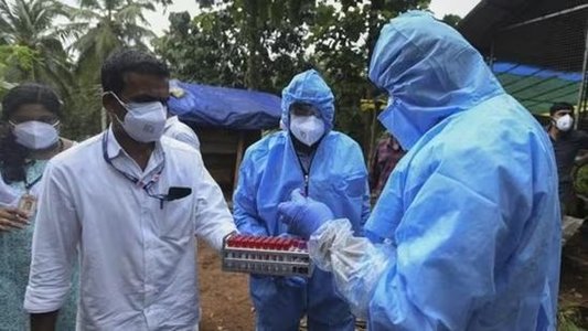 India - Nu au fost înregistrate cazuri noi de virus Nipah (OMS)
