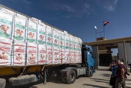 Un prim convoi cu ajutoare umanitare a pătruns sâmbătă în Gaza - Oficialii palestinieni, dezamăgiţi că nu au fost incluse provizii de combustibil şi au adăugat că ajutorul reprezintă doar 3% din ceea ce obişnuia să ajungă în Gaza înainte de criză - VIDEO