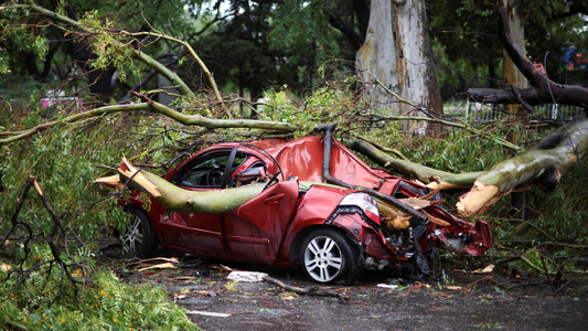 Furtună puternică în Argentina şi Uruguay: 16 persoane au murit 