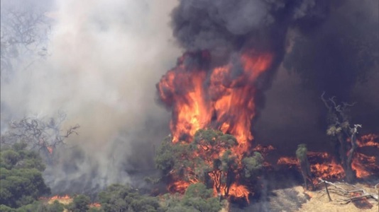 Sute de pompieri se luptă duminică cu un incendiu scăpat de sub control în apropierea capitalei Perth a Australiei de Vest