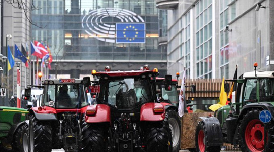 Eurodeputaţii adoptă Pactul Verde, o legislaţie-cheie care vizează să oprească declinul biodiversităţii, care le impune statelor membre UE să repare ecosistemele deteriorate, în pofida opoziţiei dreptei şi unor agricultori