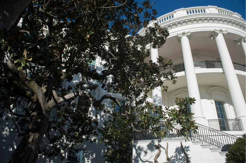 Trump anunţă că taie săptămâna aceasta celebra “Jackson Magnolia”, plantată în 1829 la Casa Albă de fostul preşedinte Andrew Jackson în memoria soţiei sale, decedate chiar înainte să fie învestit. Va fi înlocuită cu ”alt arbore foarte drăguţ”