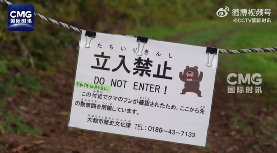 Atacuri mortale ale urşilor în Japonia – Trupe militare trimise în nordul ţării / Peste o sută de atacuri din luna aprilie / Record de victime decedate