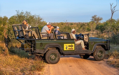 Securitatea Parcului Naţional sud-african Kruger consolidată, în urma găsirii într-un rău a cadavrelor a doi turişti ucişi pentru prima oară în istoria de 100 de ani a parcului