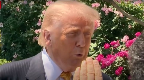 „Totul a decurs perfect”, asigură Donald Trump după examenul medical