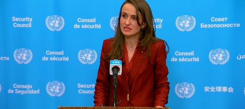 Oana Ţoiu: A fost surprinzătoare declaraţia lor prin care spuneau că cererea României vine ca o consecinţă a dorinţelor lumii occidentale. Europa de Est ştie foarte bine la ce să se aştepte de la Rusia