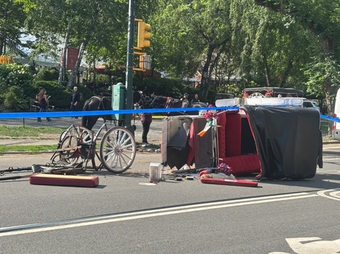 Un tânăr de 18 ani moare la New York, într-un accident de caleaşcă în Central Park. Mamdani vrea să pună capăt acestei atracţii turistice pentru ”binele cailor”