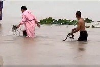 CNN - Ploile torenţiale aduc inundaţii devastatoare într-un oraş din China - şi o invazie de şerpi - FOTO, VIDEO