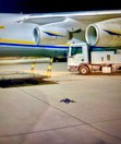 Incidentul cu drona de pe aeroportul din Leipzig, calificat drept „atac hibrid”. Temeri că Rusia se va amesteca în alegerile din Germania. Un oficial neagă informaţiile că avioanele ucrainene din apropierea dronei ar fi fost încărcate cu muniţie