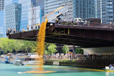 90.000 de răţuşte de plastic, aruncate în Chicago River de pe Podul Columbus Drive, la un eveniment de caritate, Ducky Derby
