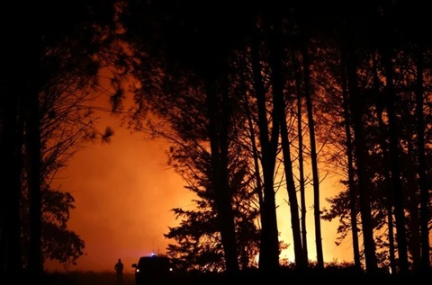 Peste 500 de persoane evacuate în sud-vestul Franţei, din calea unui incendiu în Pădurea din Landes, care a devastat 1.100 de hectare, fără să provoace pagube materiale importante