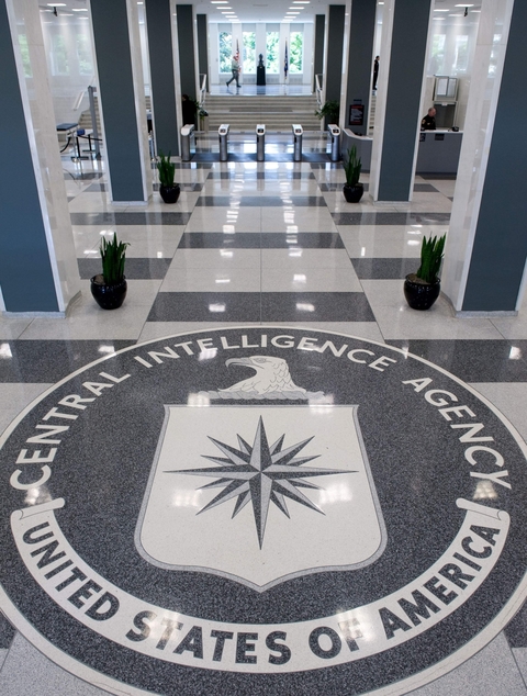 CIA avertizează Franţa, Spania şi Italia cu privire la un posibil atac cu drone ruseşti „lansate de pe mare”