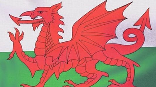 Drapelul Ţării Galilor va flutura la Eurovision, pentru prima dată, după ce organizatorii au relaxat ”politica steagurilor”