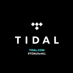 Sprint Corp va cumpăra o treime din acţiunile serviciului de streaming muzical Tidal, deţinut de rapperul Jay Z