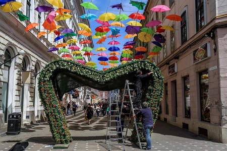 Timişoara: Arcade de flori, aranjamente florale, umbrele colorate şi muzica de fanfară, la Festivalului Timfloralis - FOTO