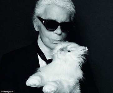 Creatorul de modă Karl Lagerfeld a realizat o replică de pluş a pisicii sale birmaneze, Choupette, care costă 545 de dolari