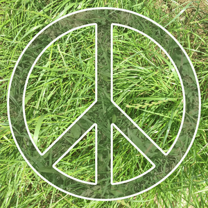 Organizatorii festivalului Glastonbury solicită participanţilor să realizeze cel mai mare semn al păcii