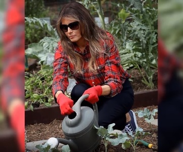 Melania Trump a cules şi a plantat legume alături de copii invitaţi la Casa Albă, în grădina amenajată de Michelle Obama - VIDEO