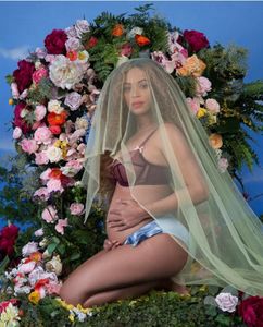 Fotografia prin care Beyoncé a anunţat că este însărcinată, desemnată cea mai apreciată imagine publicată pe Instagram în anul 2017