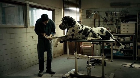 "Dogman", de Matteo Garrone, film recompensat la Cannes cu două premii, este propunerea Italiei pentru o nominalizare la Oscar