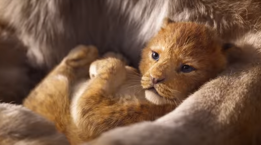 Disney a lansat primul trailer al filmului live-action „Lion King” - VIDEO