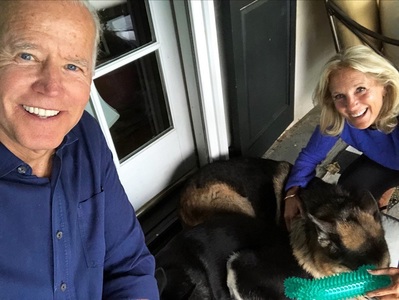 Animalele de companie revin la Casa Albă: Champ şi Major, câinii familiei Biden - FOTO