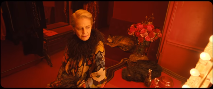 Charlotte Rampling, într-un film Saint Laurent regizat de Gaspar Noé - VIDEO